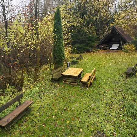 Truth Ruhe Oase, Naturblick, Smart Tv, Terrasse Brilon Zewnętrze zdjęcie
